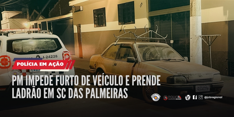 fotos_index (293 x 147 px)_furto_veiculo _palmeiras.jpg