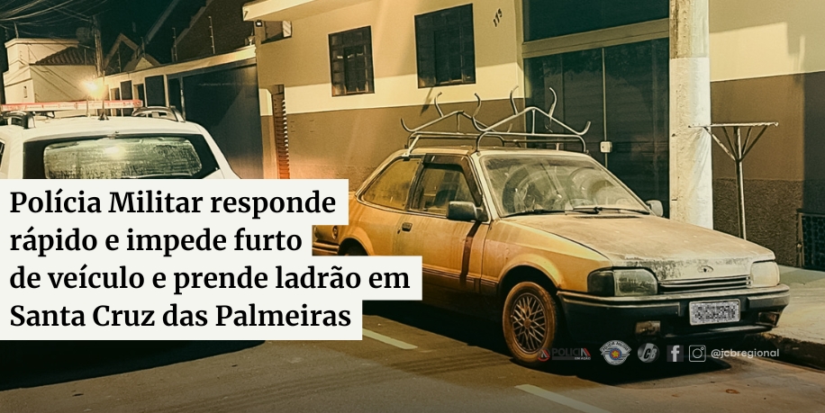 direto_redacao (site)_furto_veiculo_palmeiras (3).jpg